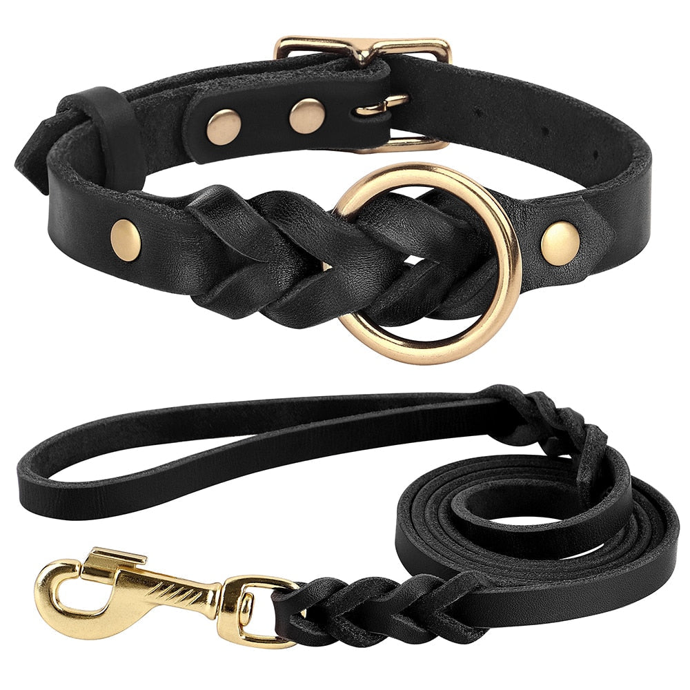 Braided Leather Collar and Leash Set