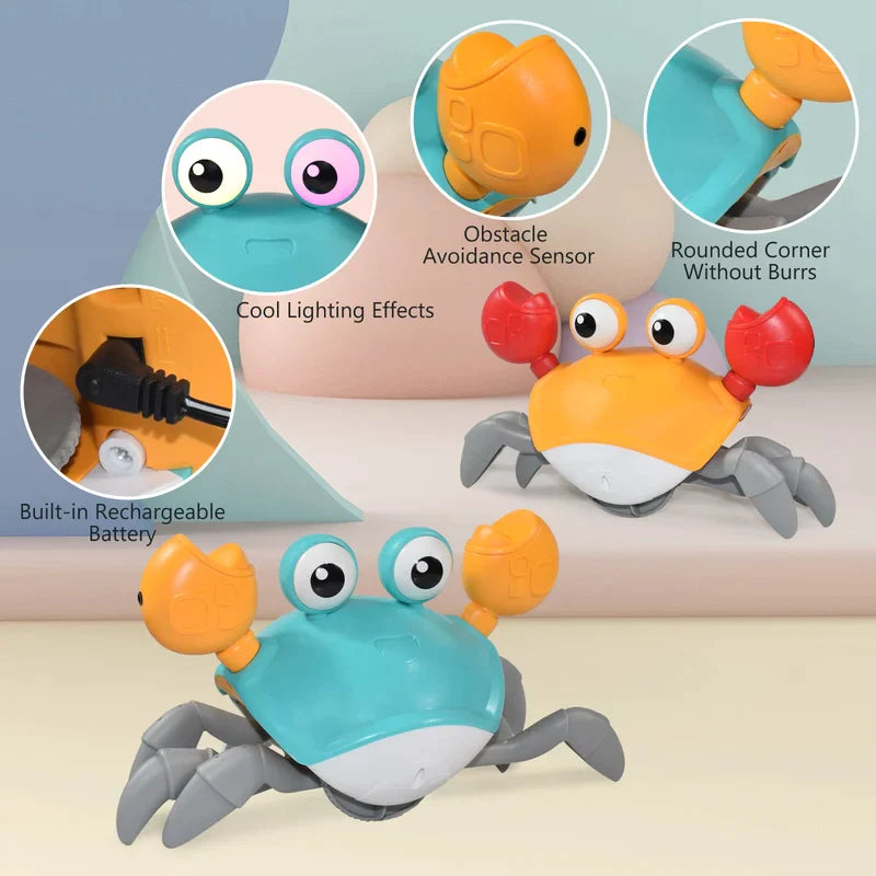 ScuttleSonic Interactive Musical Companion
