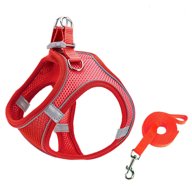 Escape Proof Small Pet Harness + Leash