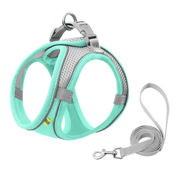 Escape Proof Small Pet Harness + Leash