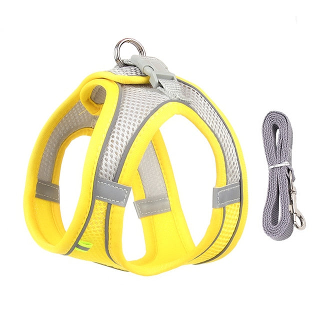 Harness and Leash Set for Small Dogs
