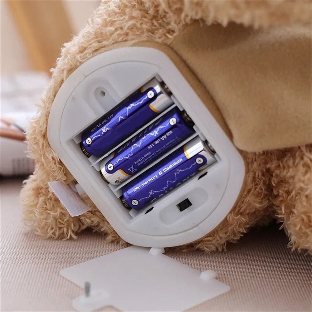 Peek-a-Boo Bärenkumpel