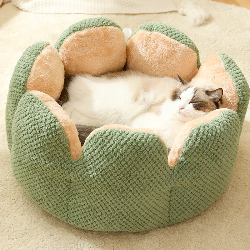 Cozy Cactus Nest Pet Bed