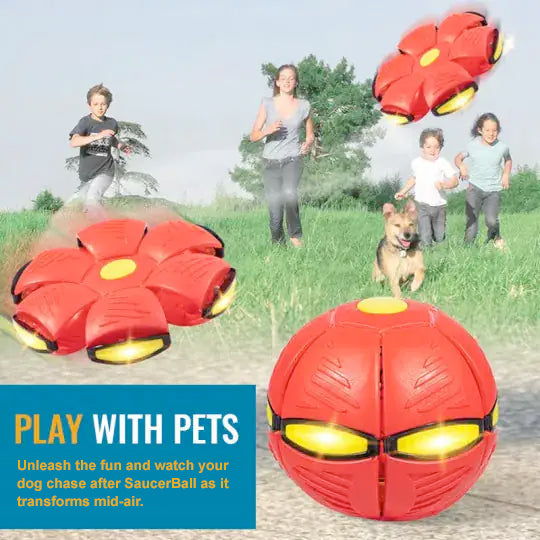 SaucerBall Dog Toy