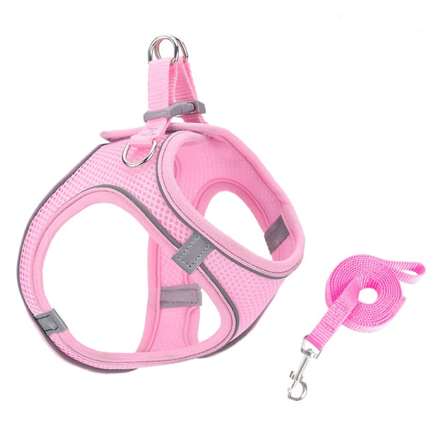 Escape Proof Small Pet Harness + Leash