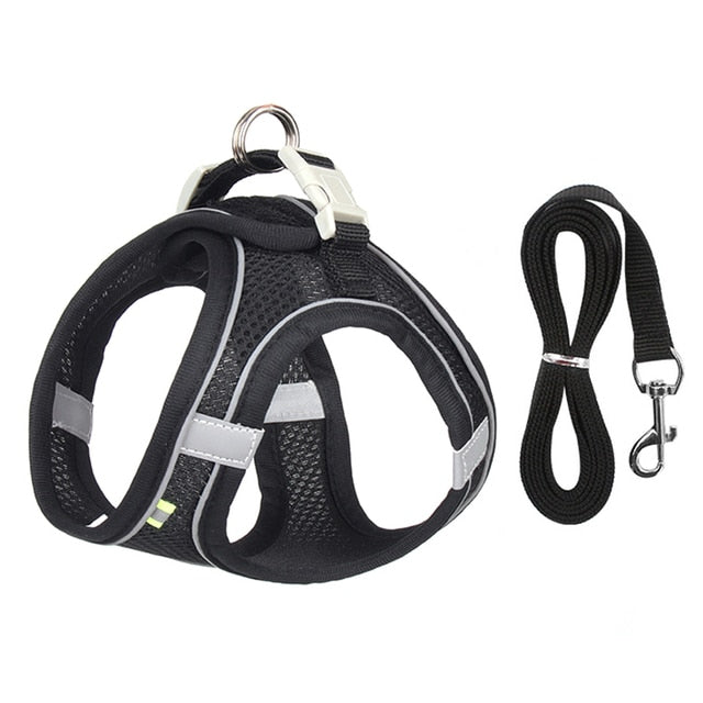 Harness and Leash Set for Small Dogs