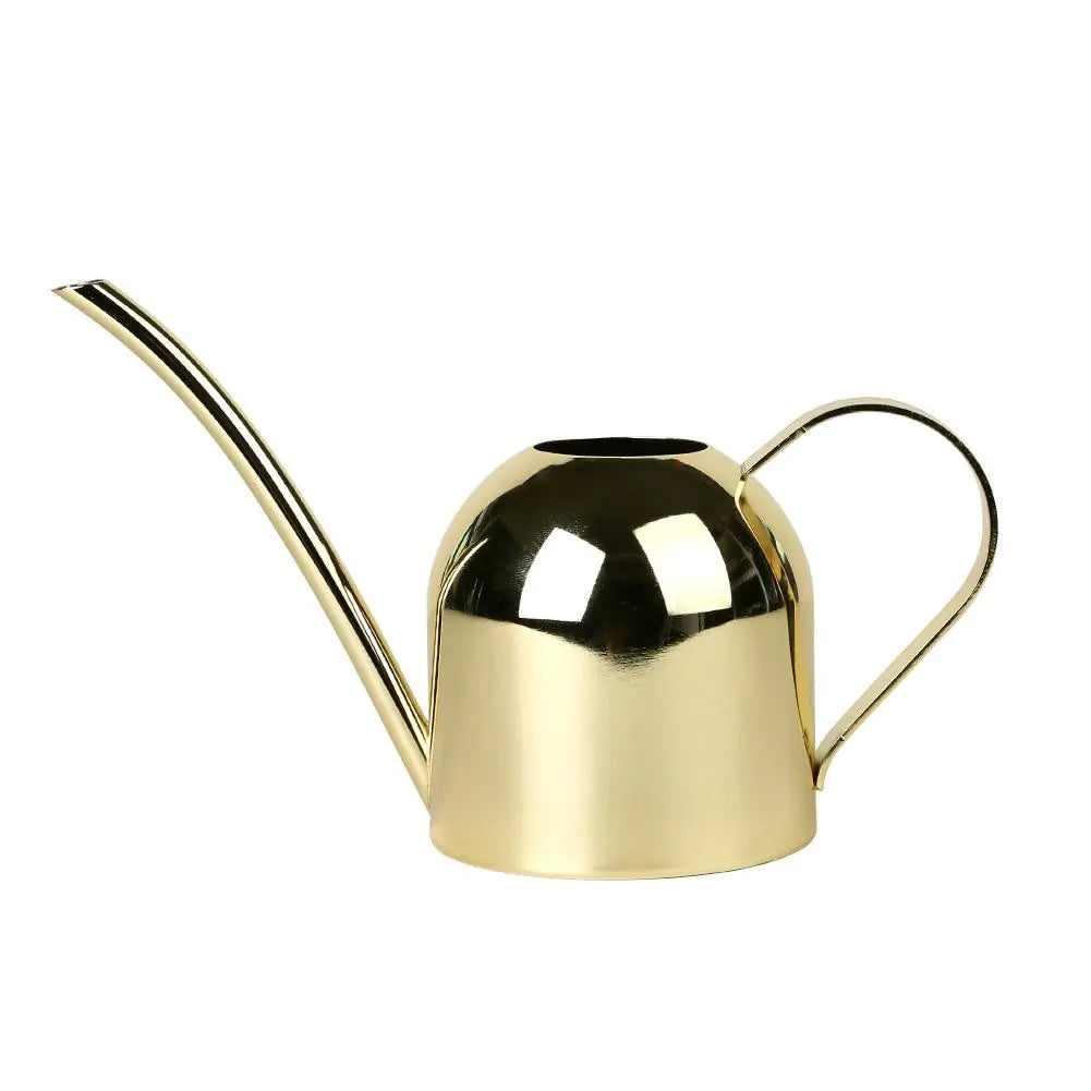 EasyPour Mini Watering Can