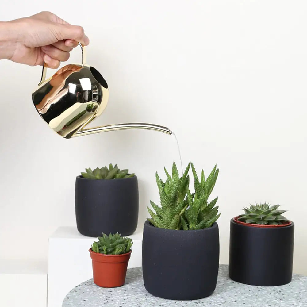 EasyPour Mini Watering Can