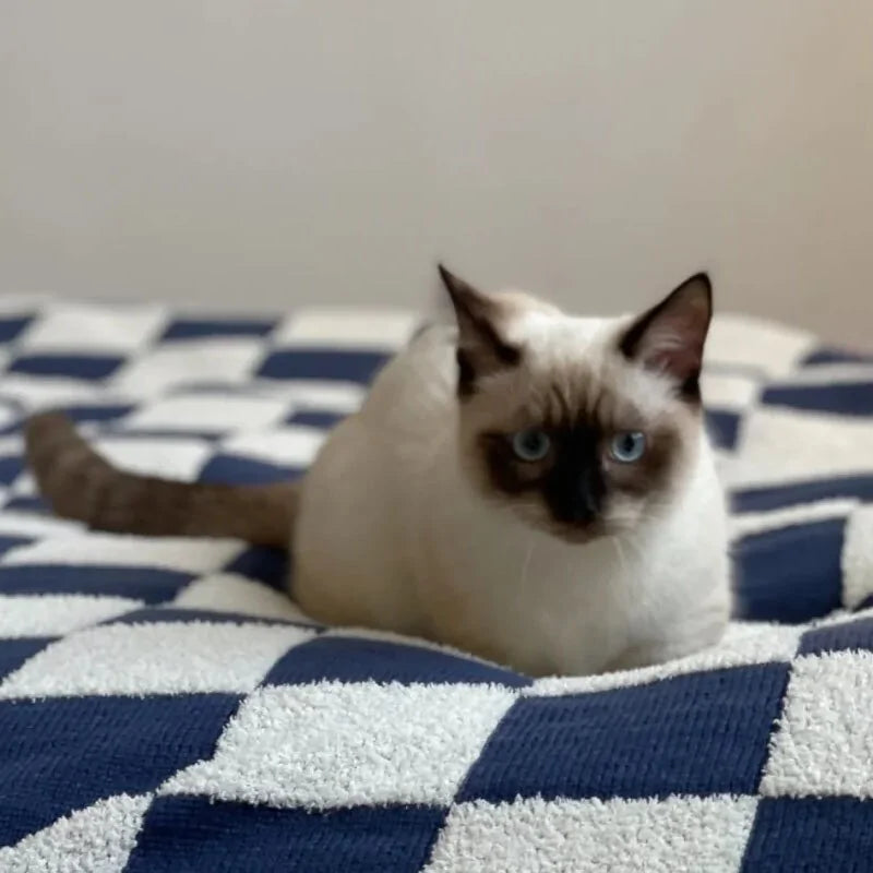 Checkerboard Fleece Blanket