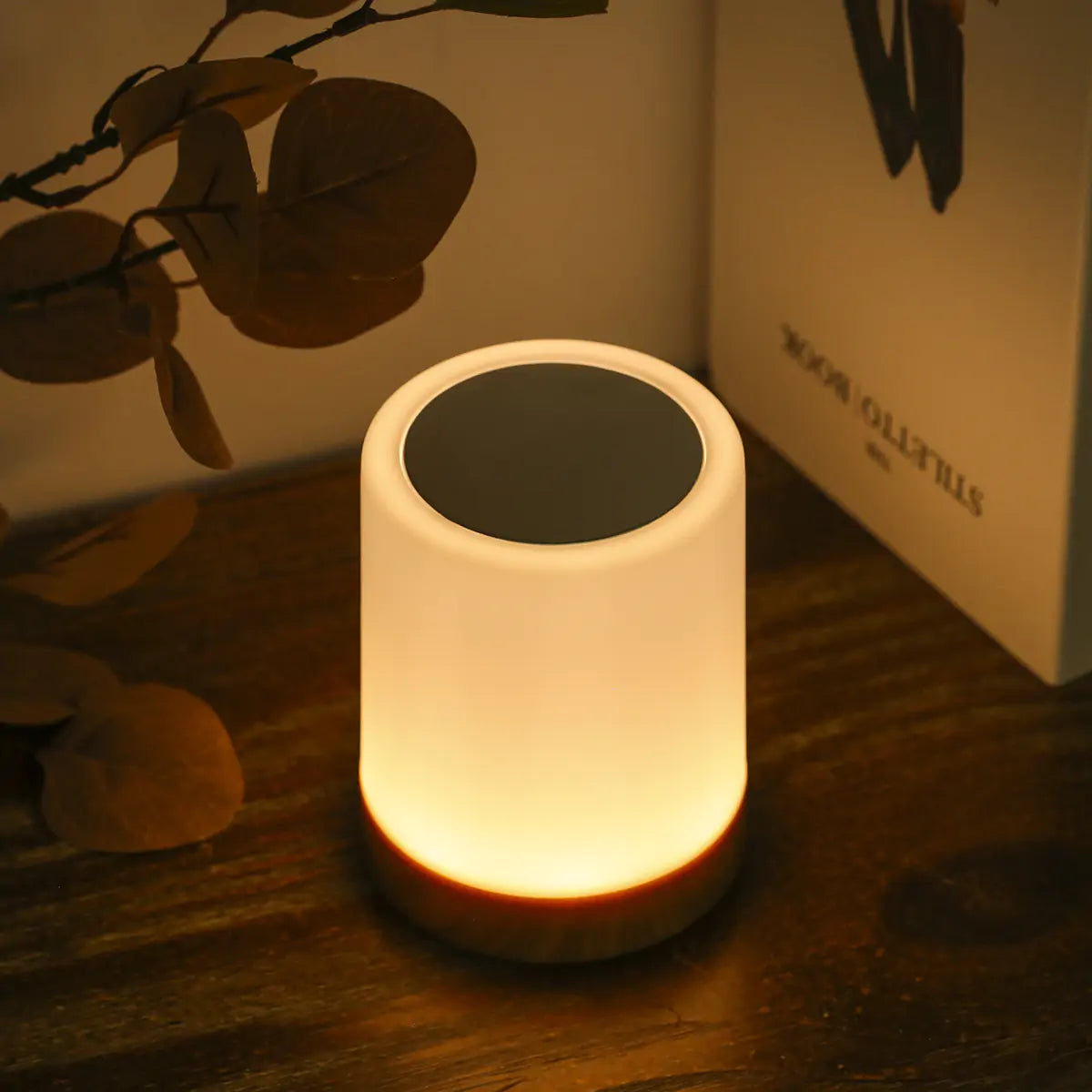 TouchMaster Bedside Lamp
