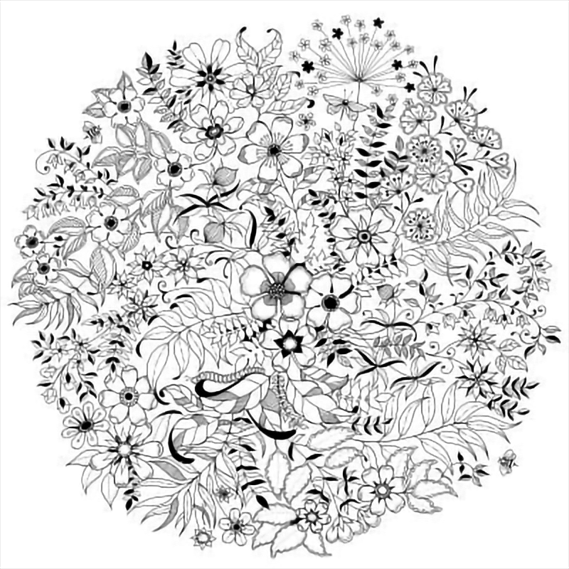 Secret Garden Coloring Book
