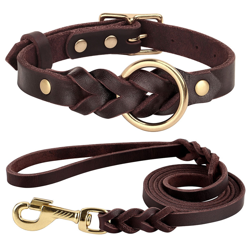 Braided Leather Collar and Leash Set