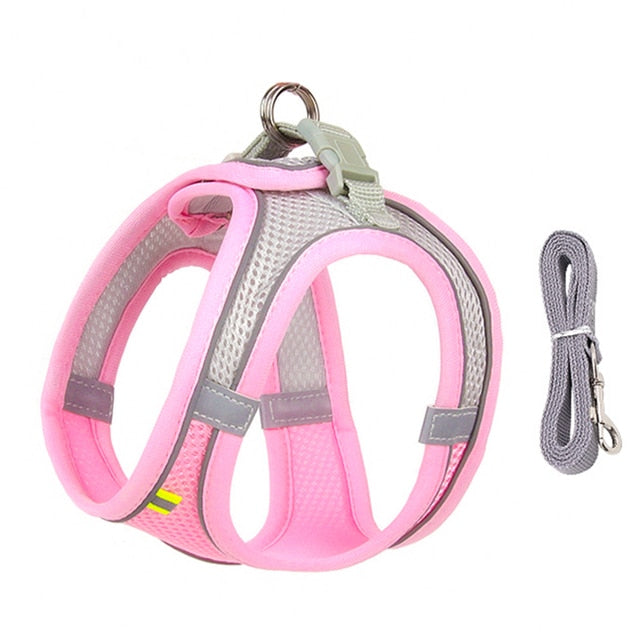 Harness and Leash Set for Small Dogs