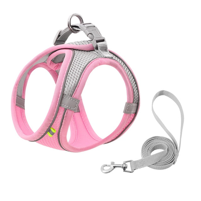 Escape Proof Small Pet Harness + Leash