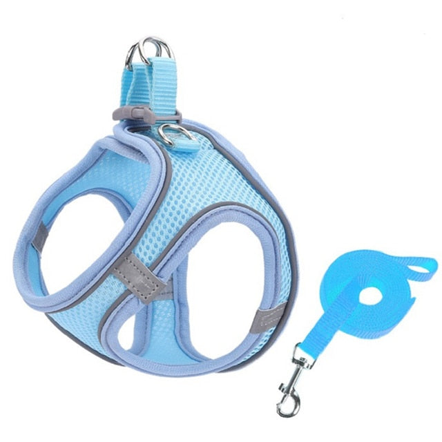 Escape Proof Small Pet Harness + Leash