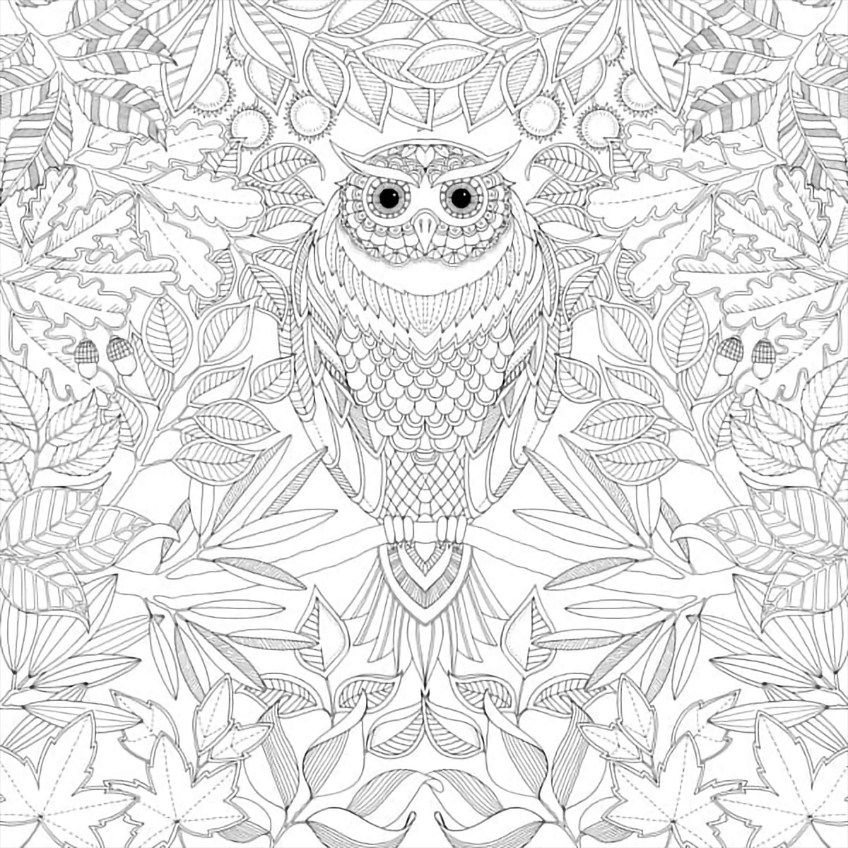 Secret Garden Coloring Book