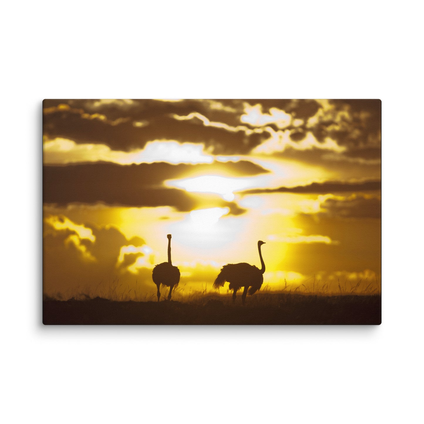 "African Sunset with Ostriches" Canvas Print
