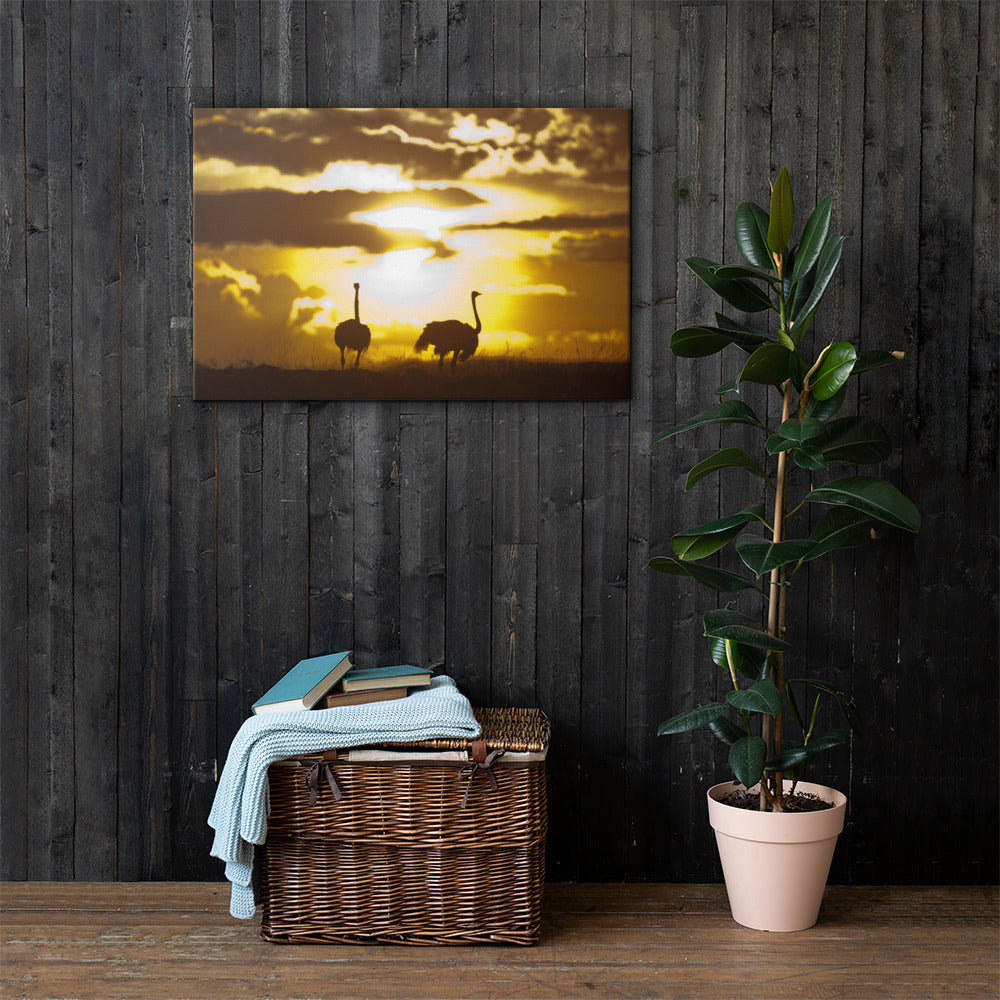"African Sunset with Ostriches" Canvas Print