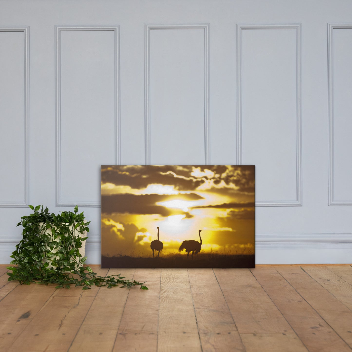 "African Sunset with Ostriches" Canvas Print