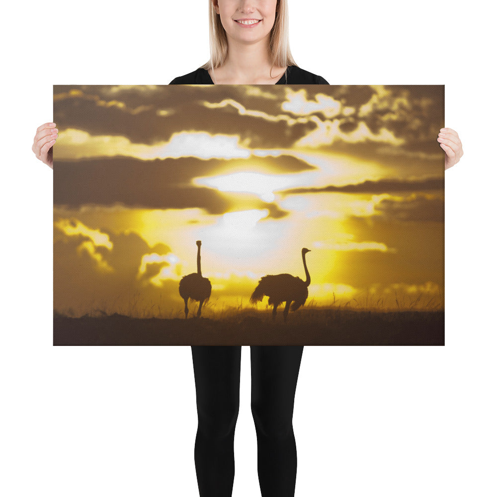 "African Sunset with Ostriches" Canvas Print