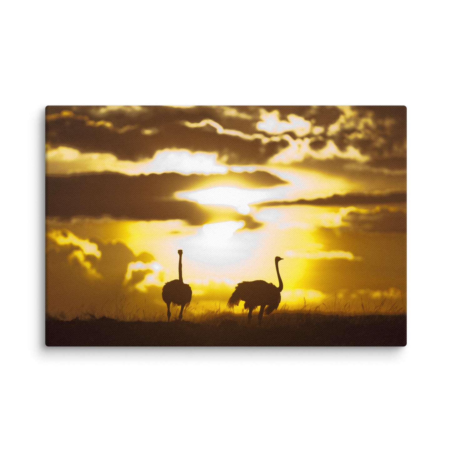 "African Sunset with Ostriches" Canvas Print