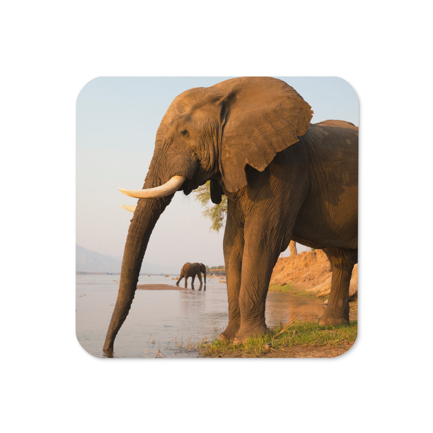 "Elephants Drinking" Cork-back coaster