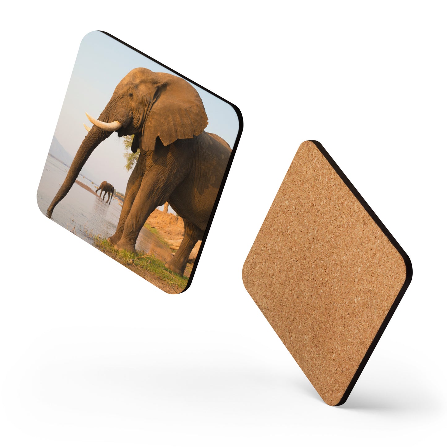 "Elephants Drinking" Cork-back coaster