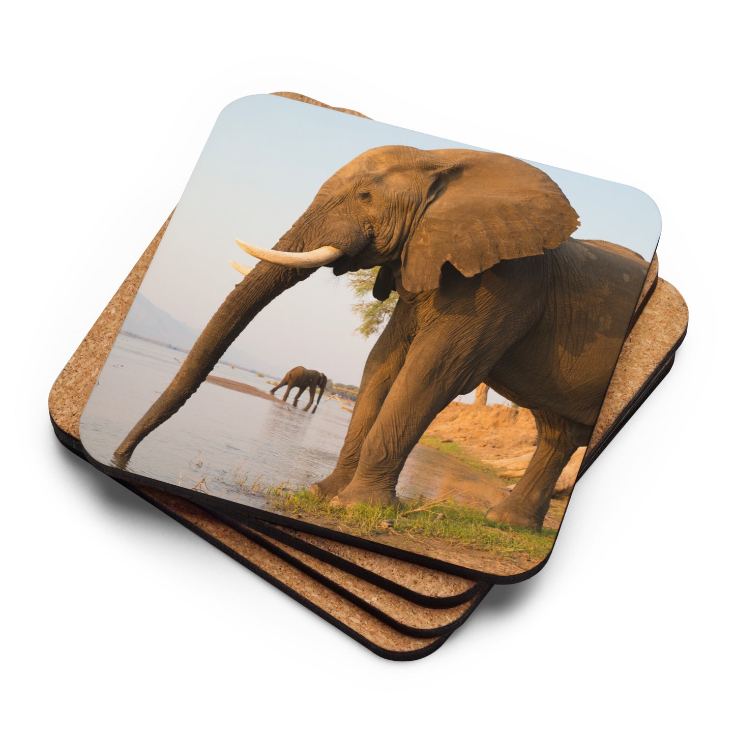 "Elephants Drinking" Cork-back coaster