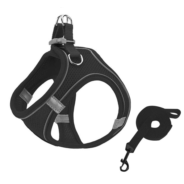 Escape Proof Small Pet Harness + Leash