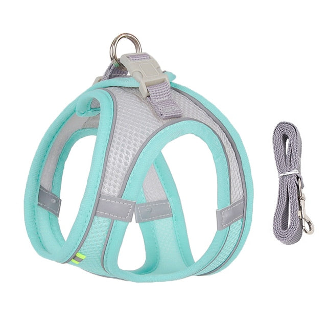 Harness and Leash Set for Small Dogs