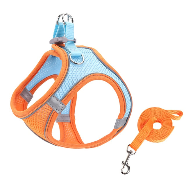 Escape Proof Small Pet Harness + Leash