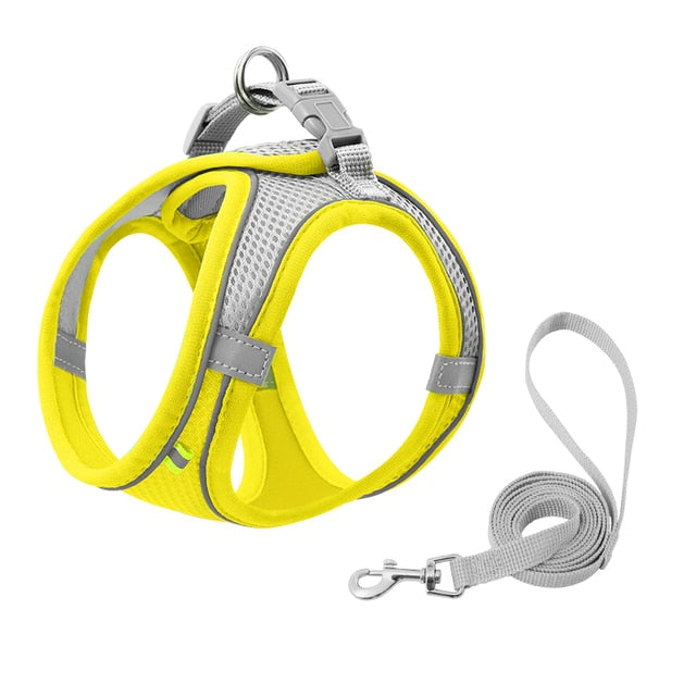 Escape Proof Small Pet Harness + Leash