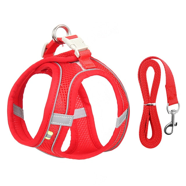 Harness and Leash Set for Small Dogs