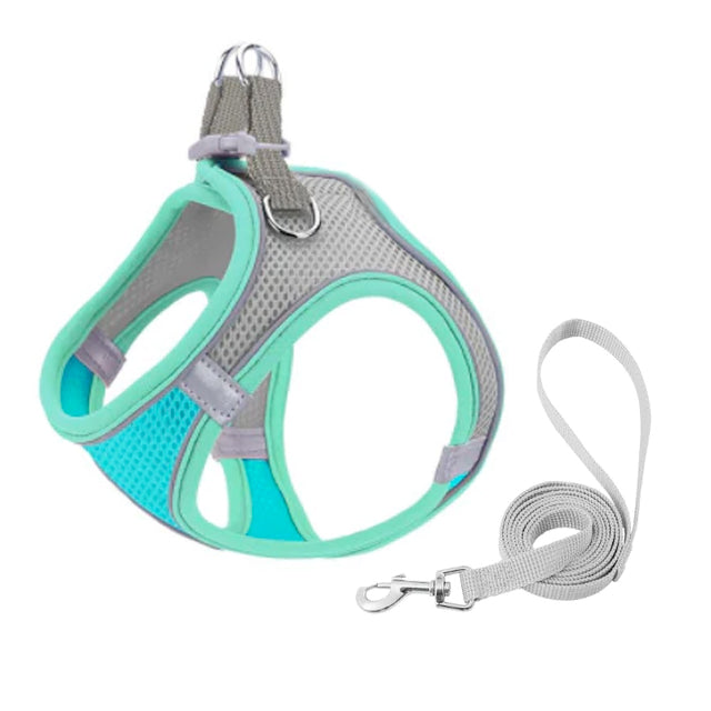Escape Proof Small Pet Harness + Leash