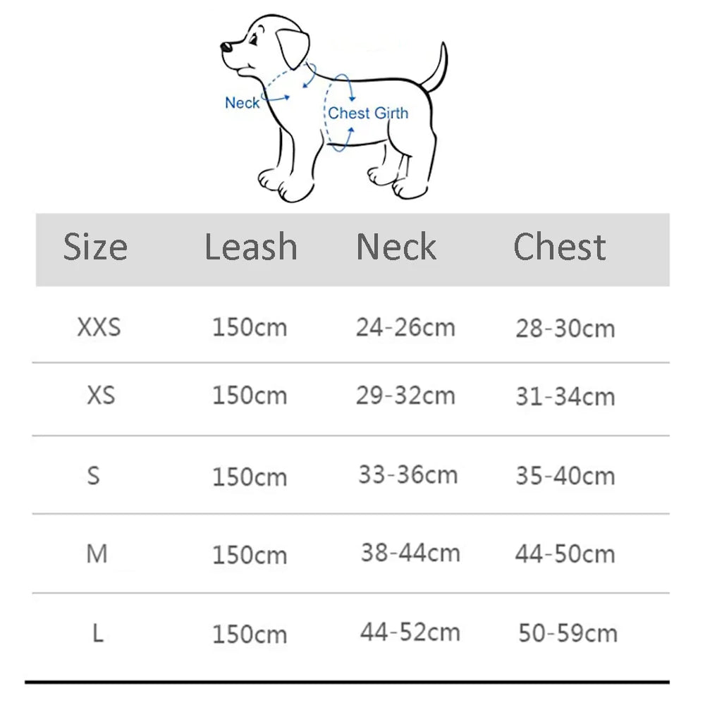 Harness and Leash Set for Small Dogs