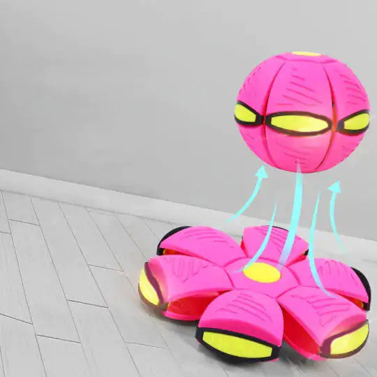 SaucerBall Dog Toy