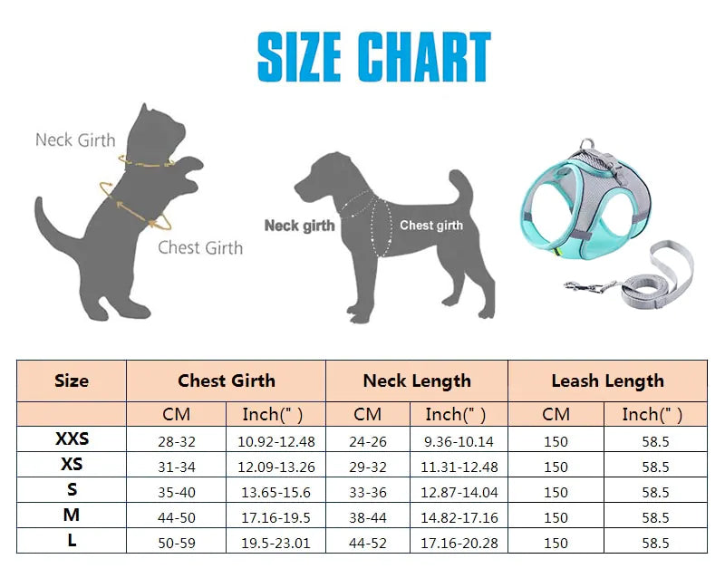 Escape Proof Small Pet Harness + Leash