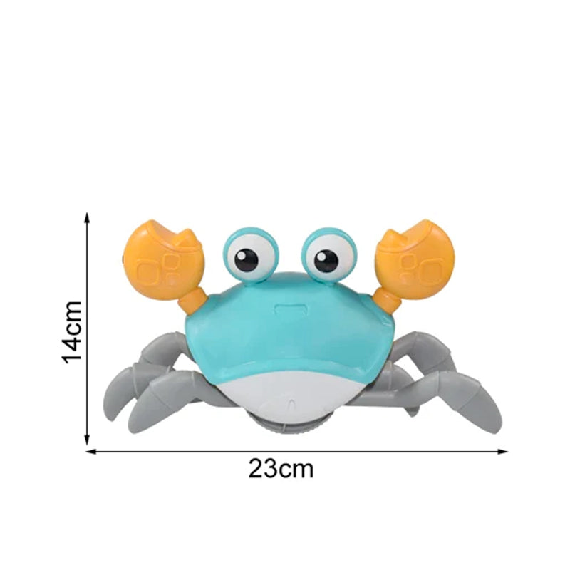 ScuttleSonic Interactive Musical Companion