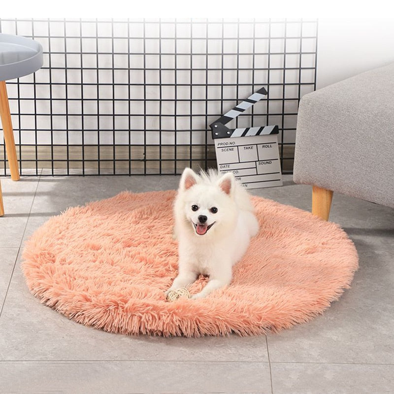 Plush Pet Bed for Smaller Breeds