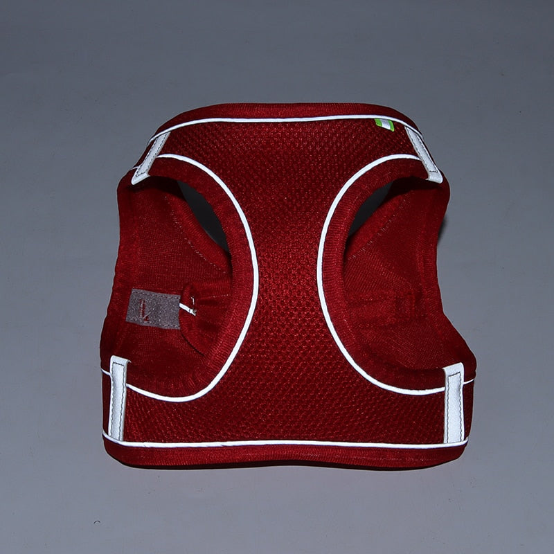 Harness and Leash Set for Small Dogs