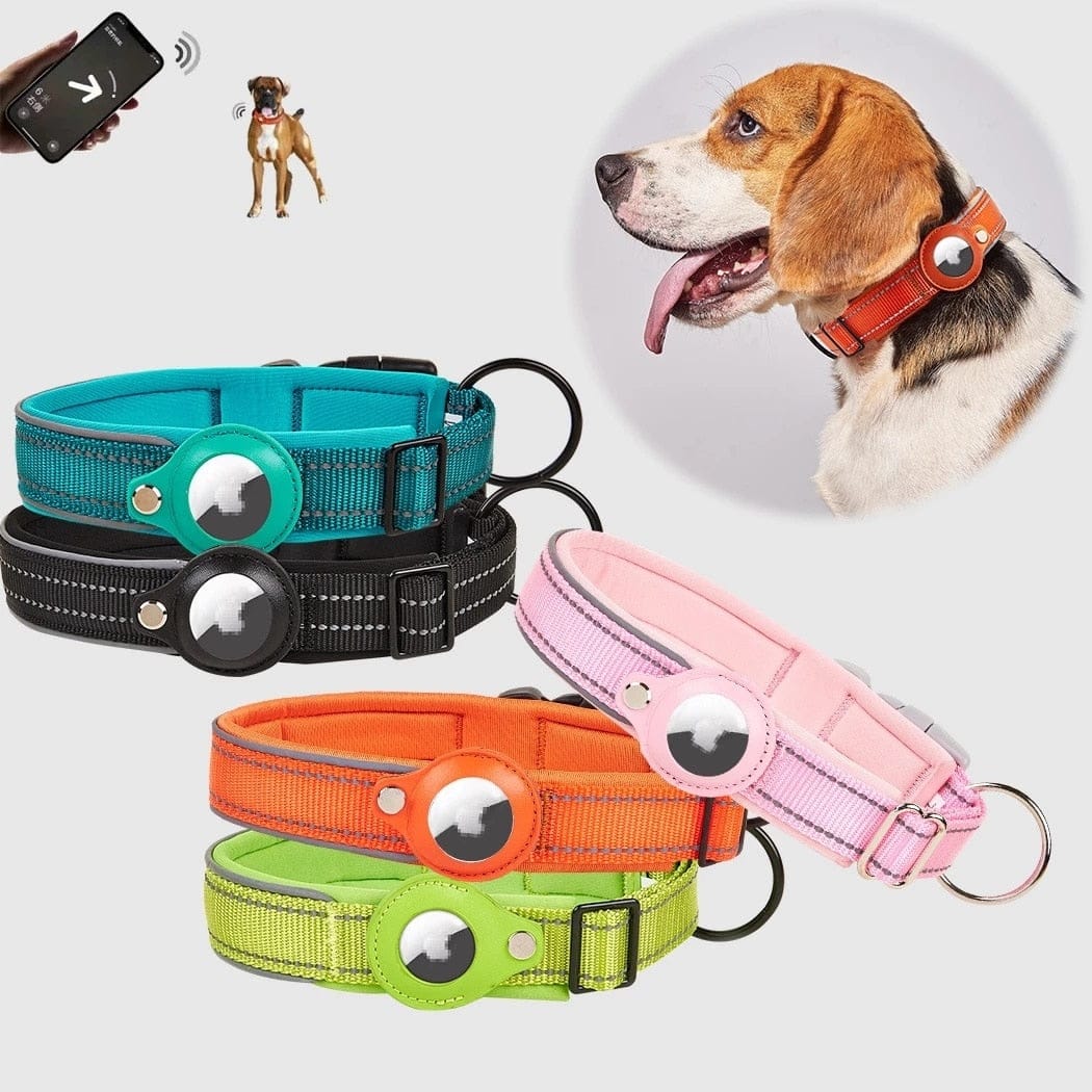 Padded Airtag Dog Collar