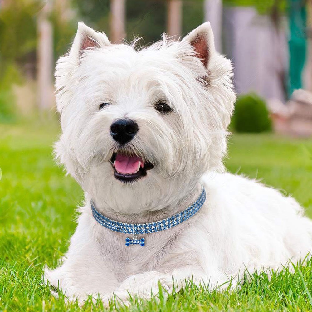 Sparkling Rhinestone Pet Collar with Bone Pendant