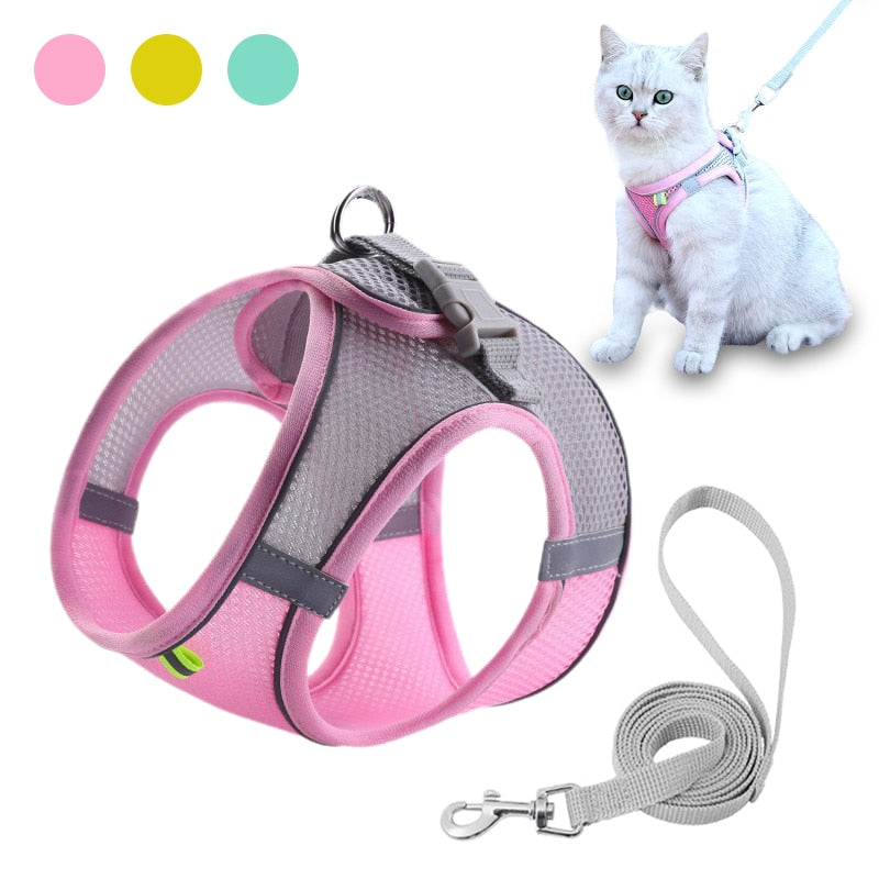 Escape Proof Small Pet Harness + Leash