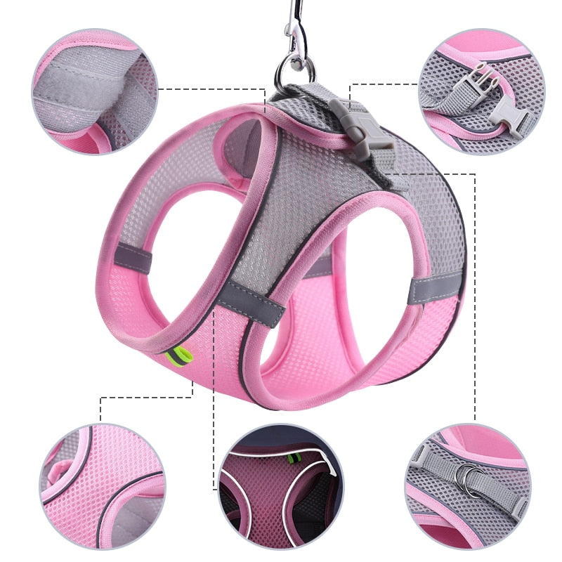 Escape Proof Small Pet Harness + Leash