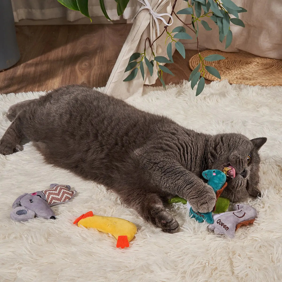 ChewBuddy Plush Bite Resistant Cat Chew Toys