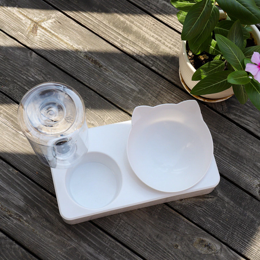 FelineFlex geneigter Futter- und Wasserspender