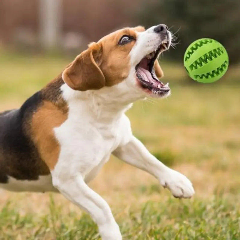 TreatTwist Chew Ball