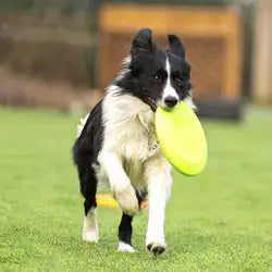 Aisenwer Natural Rubber Flying Disc