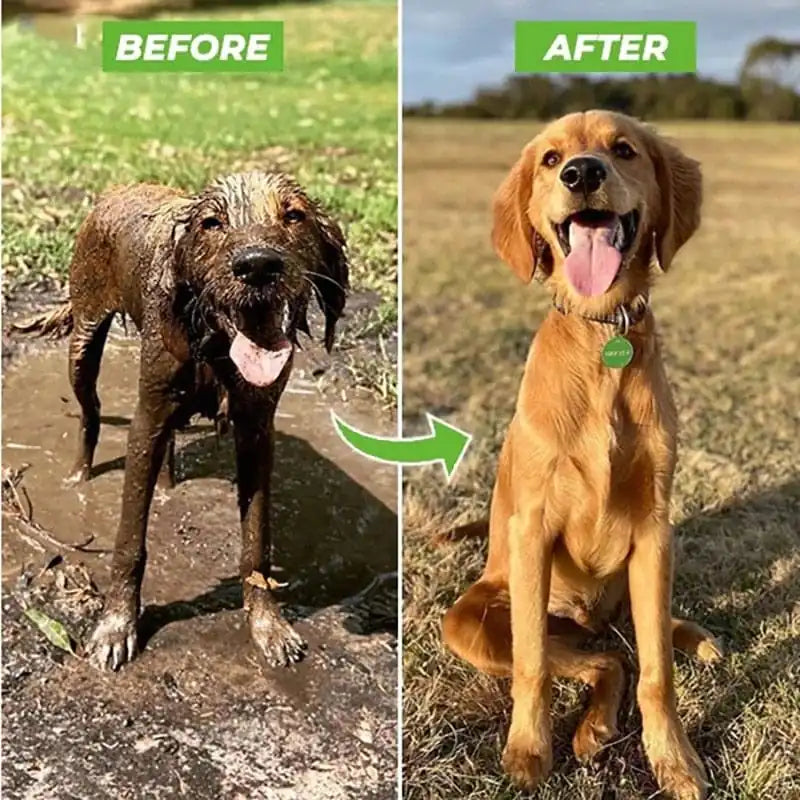 HydroJet Dog Wash