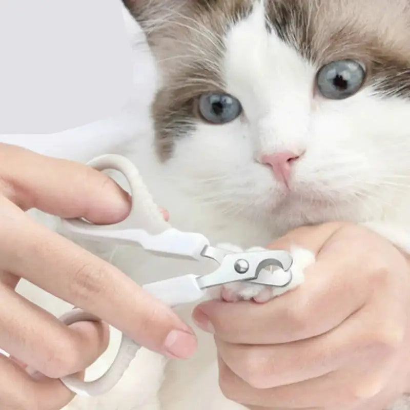 PediPaws Precision Nail Clippers